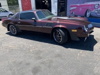 1979 Chevrolet Camaro for sale in Michigan (ID-109014)