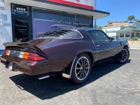 1979 Chevrolet Camaro for sale in Michigan (ID-109014)