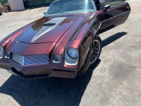1979 Chevrolet Camaro for sale in Michigan (ID-109014)