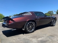 1979 Chevrolet Camaro for sale in Michigan (ID-109014)