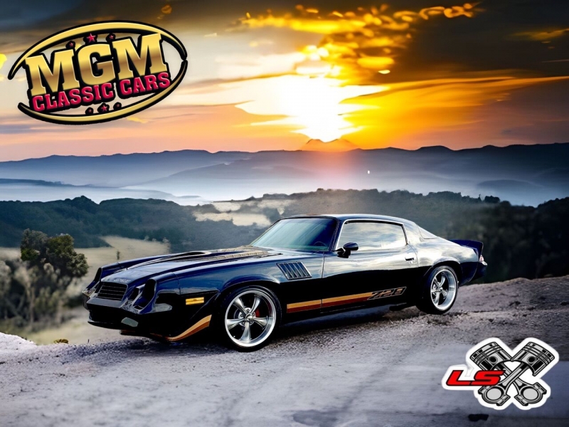 1979 Chevrolet Camaro for sale in Addison, Illinois (ID-114653) 1979 Chevrolet Camaro for sale in Addison, Illinois (ID-114653)