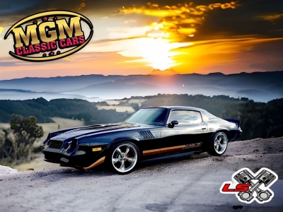 1979 Chevrolet Camaro for sale