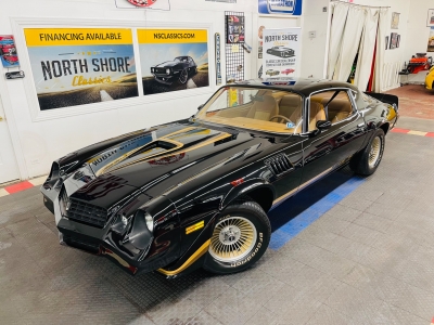 1979 Chevrolet Camaro for sale