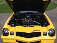 1979 Chevrolet Camaro for sale in Michigan (ID-116678)