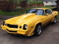 1979 Chevrolet Camaro for sale in Michigan (ID-116678)
