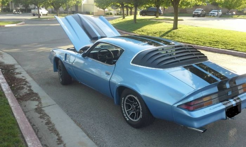 1979 Chevrolet Camaro for sale in Michigan (ID-118647)