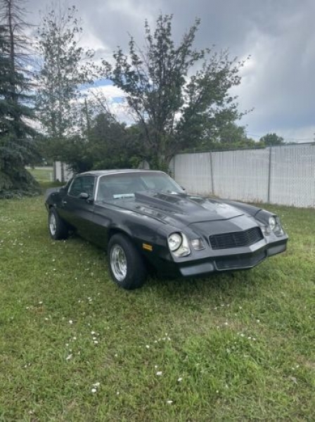 1979 Chevrolet Camaro for sale in Michigan (ID-123707) 1979 Chevrolet Camaro for sale in Michigan (ID-123707)