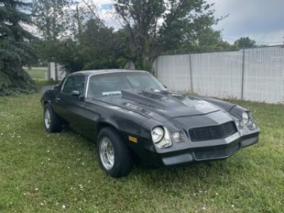 1979 Chevrolet Camaro for sale