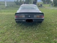 1979 Chevrolet Camaro for sale in Michigan (ID-123707)