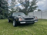1979 Chevrolet Camaro for sale in Michigan (ID-123707)