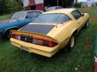 1979 Chevrolet Camaro for sale in Michigan (ID-124153)