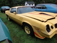 1979 Chevrolet Camaro for sale in Michigan (ID-124153)
