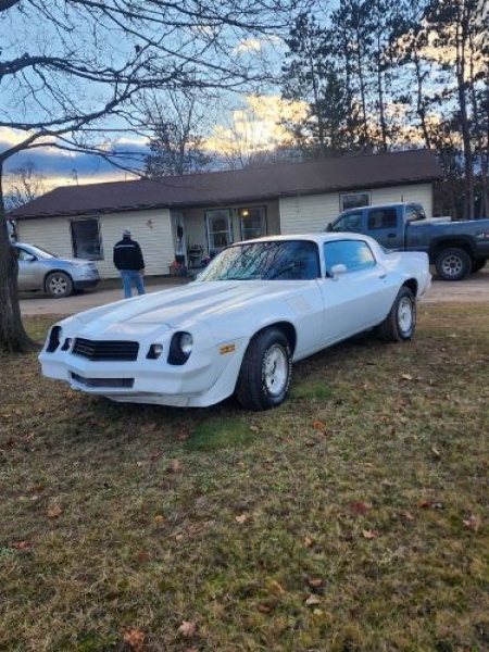 1979 Chevrolet Camaro for sale in Michigan (ID-125574) 1979 Chevrolet Camaro for sale in Michigan (ID-125574)