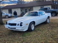 1979 Chevrolet Camaro for sale in Michigan (ID-125574)