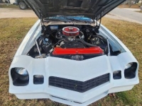 1979 Chevrolet Camaro for sale in Michigan (ID-125574)