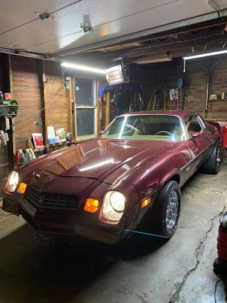 1979 Chevrolet Camaro for sale in Michigan (ID-125856)