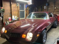 1979 Chevrolet Camaro for sale in Michigan (ID-125856)