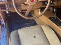 1979 Chevrolet Camaro for sale in Michigan (ID-125856)