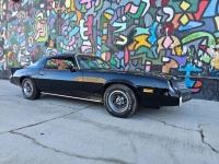 1979 Chevrolet Camaro for sale in Michigan (ID-126105)