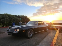 1979 Chevrolet Camaro for sale in Michigan (ID-126105)
