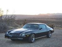 1979 Chevrolet Camaro for sale in Michigan (ID-126105)