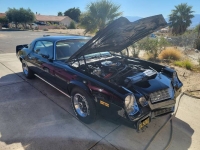 1979 Chevrolet Camaro for sale in Michigan (ID-126105)