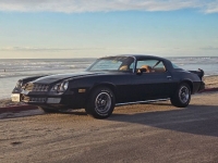 1979 Chevrolet Camaro for sale in Michigan (ID-126105)