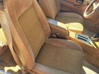 1979 Chevrolet Camaro for sale in Michigan (ID-126105)