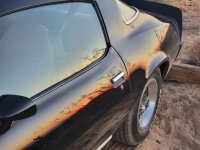 1979 Chevrolet Camaro for sale in Michigan (ID-126105)