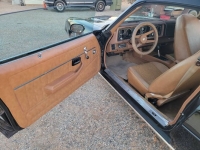 1979 Chevrolet Camaro for sale in Michigan (ID-126105)