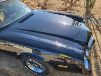 1979 Chevrolet Camaro for sale in Michigan (ID-126105)