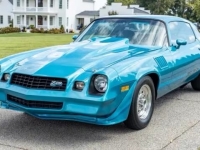 1979 Chevrolet Camaro for sale in Addison, Illinois (ID-126969)