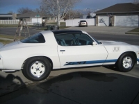 1979 Chevrolet Camaro for sale in Michigan (ID-130966)