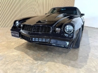 1979 Chevrolet Camaro for sale in Michigan (ID-141595)