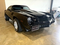 1979 Chevrolet Camaro for sale in Michigan (ID-141595)