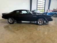 1979 Chevrolet Camaro for sale in Michigan (ID-141595)