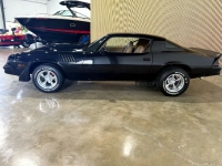 1979 Chevrolet Camaro for sale in Michigan (ID-141595)