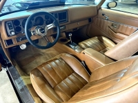 1979 Chevrolet Camaro for sale in Michigan (ID-141595)