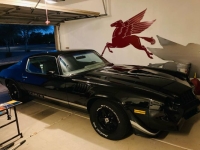 1979 Chevrolet Camaro for sale in Michigan (ID-146286)