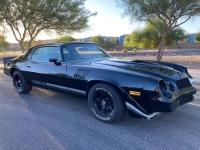 1979 Chevrolet Camaro for sale in Michigan (ID-146286)