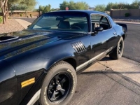 1979 Chevrolet Camaro for sale in Michigan (ID-146286)