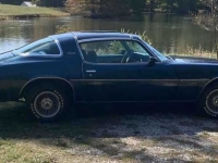 1979 Chevrolet Camaro for sale (ID-146436)