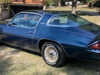 1979 Chevrolet Camaro for sale (ID-146436)