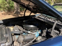 1979 Chevrolet Camaro for sale (ID-146436)