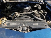 1979 Chevrolet Camaro for sale (ID-146436)