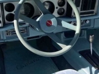 1979 Chevrolet Camaro for sale (ID-146436)