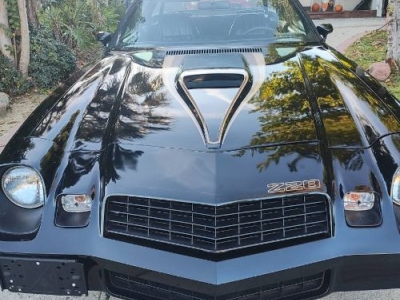 1979 Chevrolet Camaro for sale