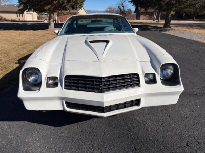 1979 Chevrolet Camaro for sale