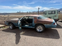 1979 Chevrolet Camaro for sale in Michigan (ID-162133)