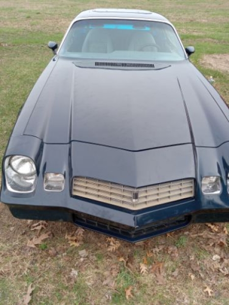 1979 Chevrolet Camaro for sale in Michigan (ID-162863)